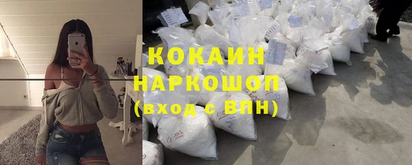 стаф Абаза