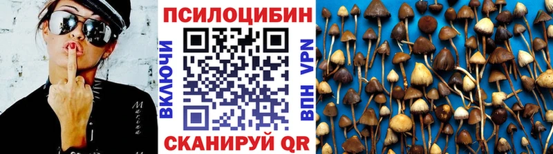 Галлюциногенные грибы Magic Shrooms  Юрюзань 